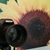 David Adams's profile image