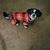 Erica Lynn Gregory's profile image
