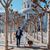 Jenny Maier DeNucci's profile image