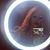 Brandi Harrelson's profile image