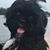 Becky Cameron Wesolowicz's profile image