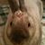 Jen Patrick's profile image