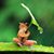 Susie Smith's profile image