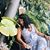 Lacey Bodley's profile image