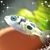 Anna Marie Castles's profile image