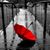Buffy Dillon's profile image