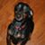 Reggie Zalewski's profile image