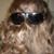 Rachel Ward's profile image