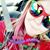 Jessi Rhae Peterson's profile image