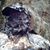 Max Sisk's profile image