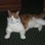John Buerman's profile image