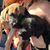 Shea N Johnny's profile image