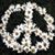 Annemarie Rega's profile image