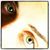 Lauren Pecher's profile image