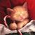Michelle Hess-Harley's profile image