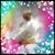 Lena Rich's profile image