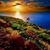 Joy Lindsey-Lock's profile image
