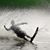 Carrie Doyea's profile image
