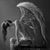 Becki Jackson's profile image