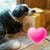 Vickie Brinkley's profile image