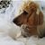 Buffie Pardue- Nelson's profile image