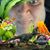 Matt Burden's profile image