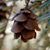 Sue Lichty's profile image