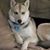 Linda Harris's profile image