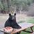 David Morriston's profile image