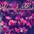 Ausima Nadir's profile image