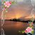 Kathryn Milliken's profile image