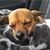 Rhonda Arnott-Berman's profile image