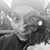 Sarah Foglia's profile image