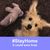 Teresa Goodwin Dotson's profile image