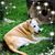 Eric Turic's profile image
