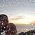 Julie Pischel-Dack's profile image