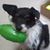 Sheri Corwin's profile image