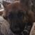 Annamarie Bonner-Clark's profile image