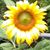 Catherine Temple's profile image