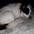 Teresa Kirby's profile image
