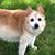 Elliot Kari Ostercamp's profile image
