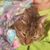 Ruth Earl's profile image
