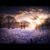Marie Rhome-Fisher's profile image