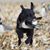 Todd Caswell's profile image
