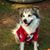 Maggie Gramling's profile image