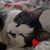 Leann Marzani's profile image