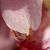 Mary C Johnson's profile image
