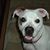 Linda Henderson's profile image