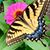 Christy Womack Gibson's profile image