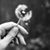 Ann Maas Paben's profile image